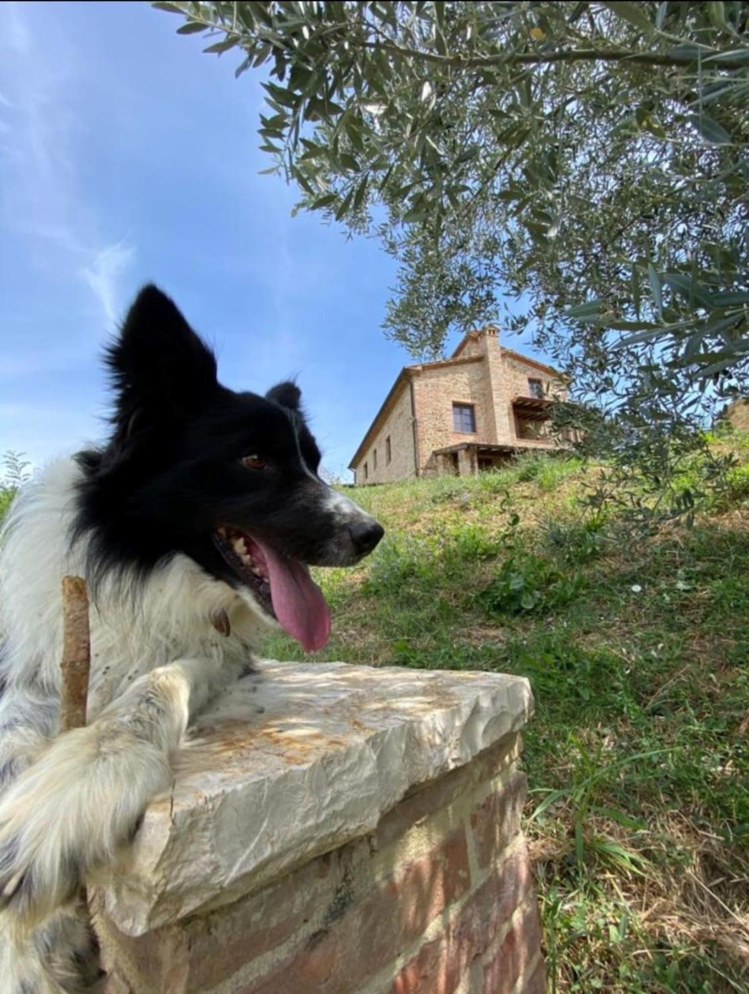 Podere San Selvatico Città della Pieve Exterior foto